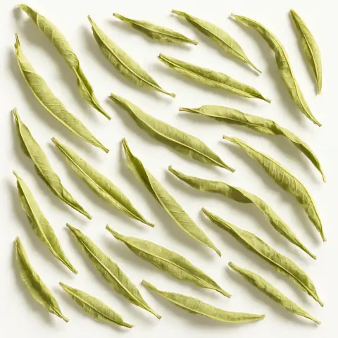 Verveine citronnelle