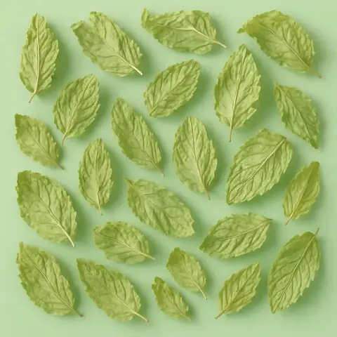Spearmint